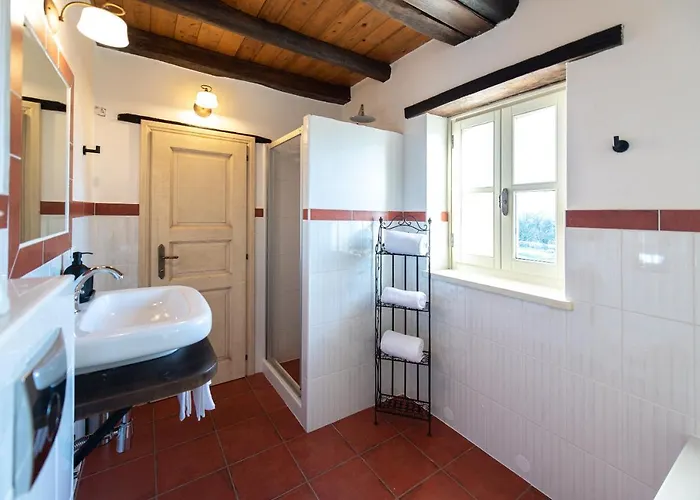 Avalon - Luxury With Pool In The Centre Of Istria Vila *