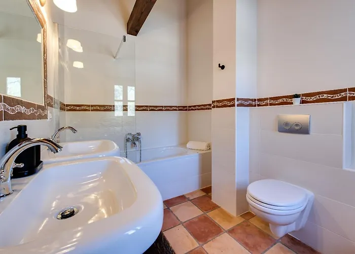 Avalon - Luxury With Pool In The Centre Of Istria Tinjan